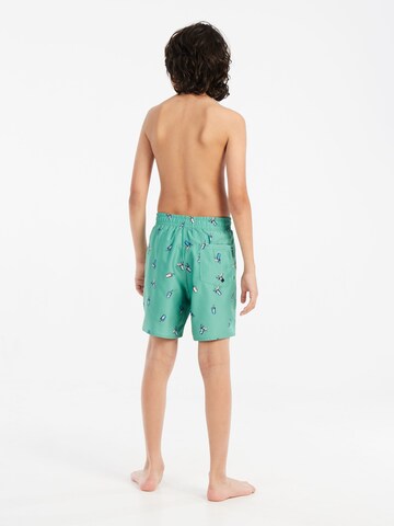 PROTEST Badeshorts 'PRTRocker JR' in Grün