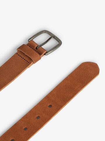 Scalpers Belt in Brown