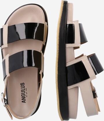 ANGULUS Strap Sandals in Black