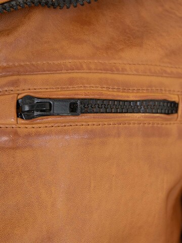 Jilani Tussenjas 'Ilai' in Bruin