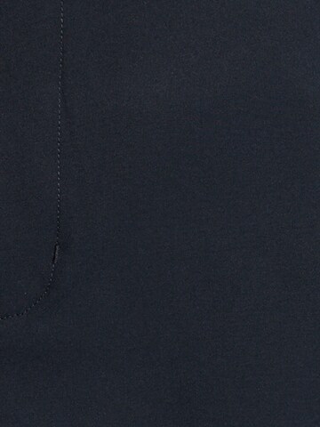 Lyle & Scott Regular Sportbroek in Blauw