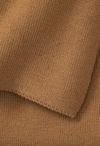 BOSS Home Blankets in Brown