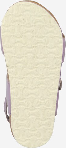 KIDS ONLY Sandal 'ALMA' in Purple