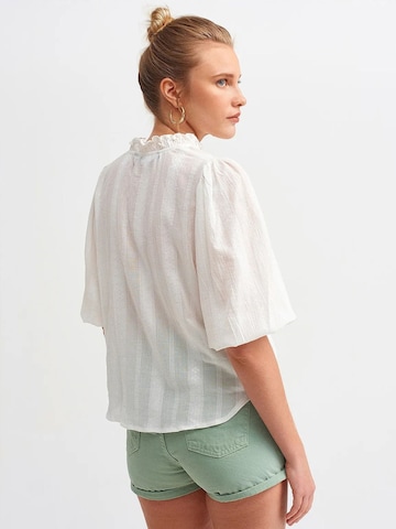 Dilvin Blouse in White