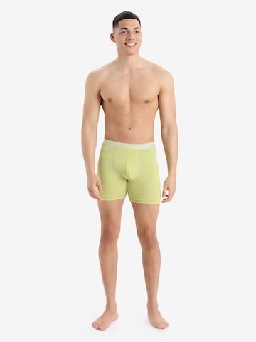 ICEBREAKER Athletic Underwear 'Anatomica' in Yellow