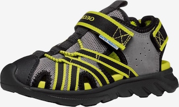 Calzatura aperta di GEOX in grigio: frontale