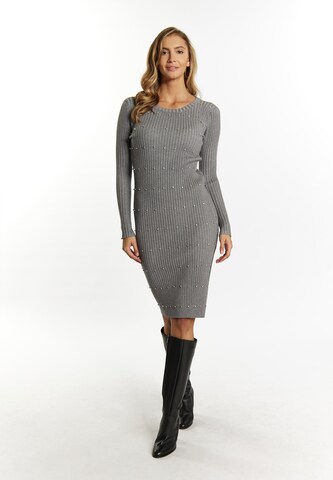 faina Knitted dress in Grey: front