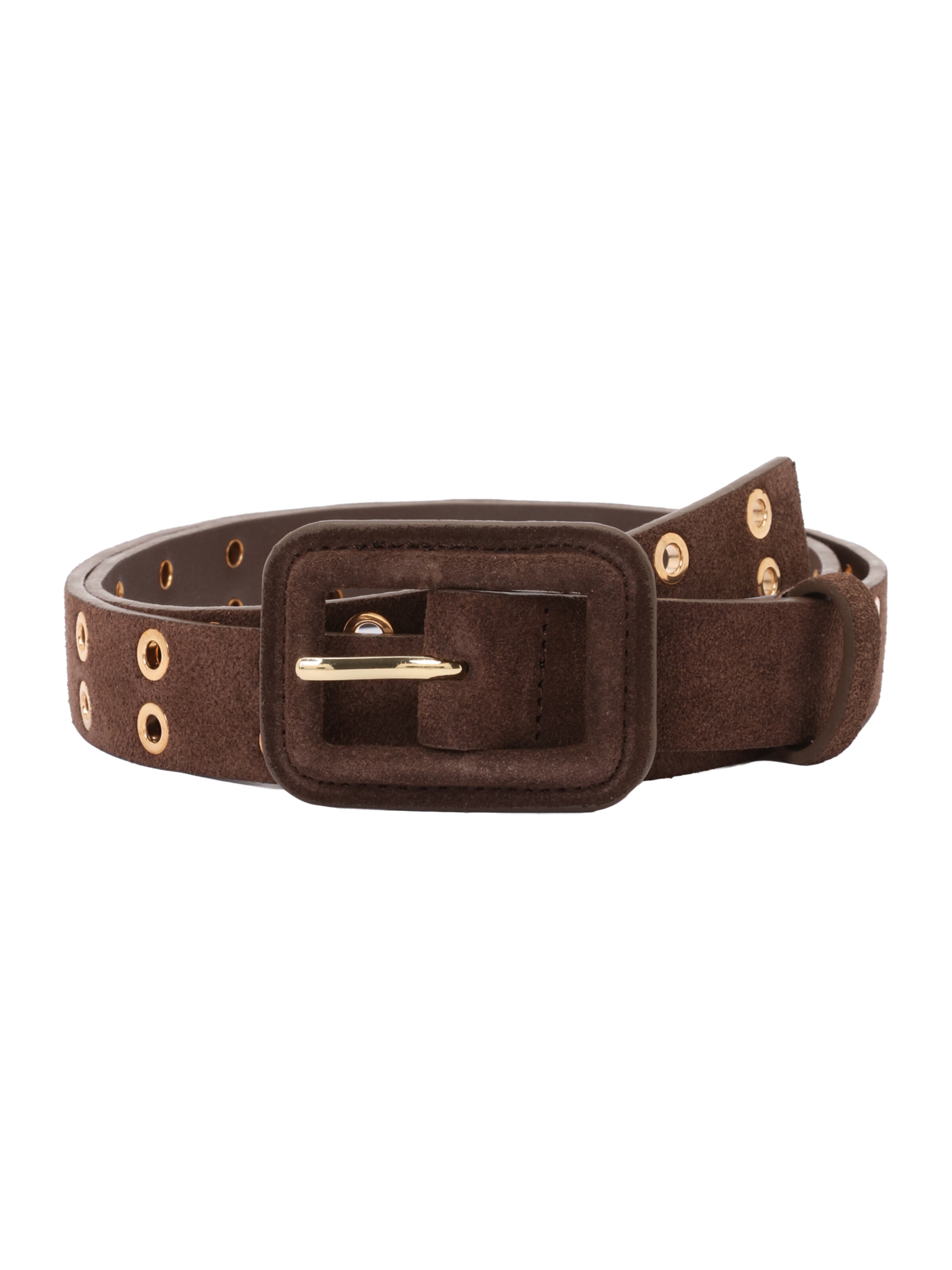 ONLY Carmakoma Gürtel 'CARANAIS' in Braun: Vorderseite