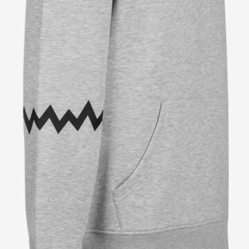 PUMA Sportsweatshirt 'Hoops' in Grau