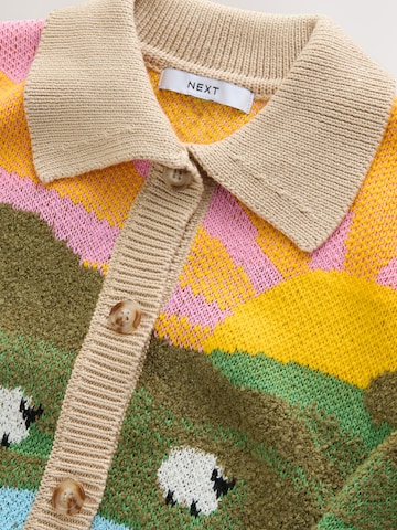 Next Knit cardigan in Mixed colours