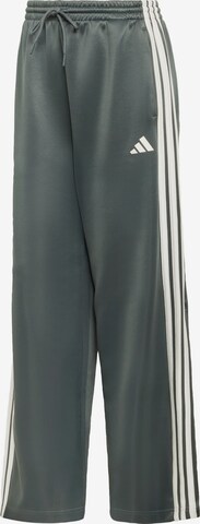 Pantaloni sportivi 'Stadium' di ADIDAS SPORTSWEAR in grigio: frontale