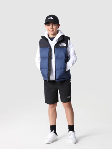 Gilet de sport 'NUPTSE' THE NORTH FACE en bleu