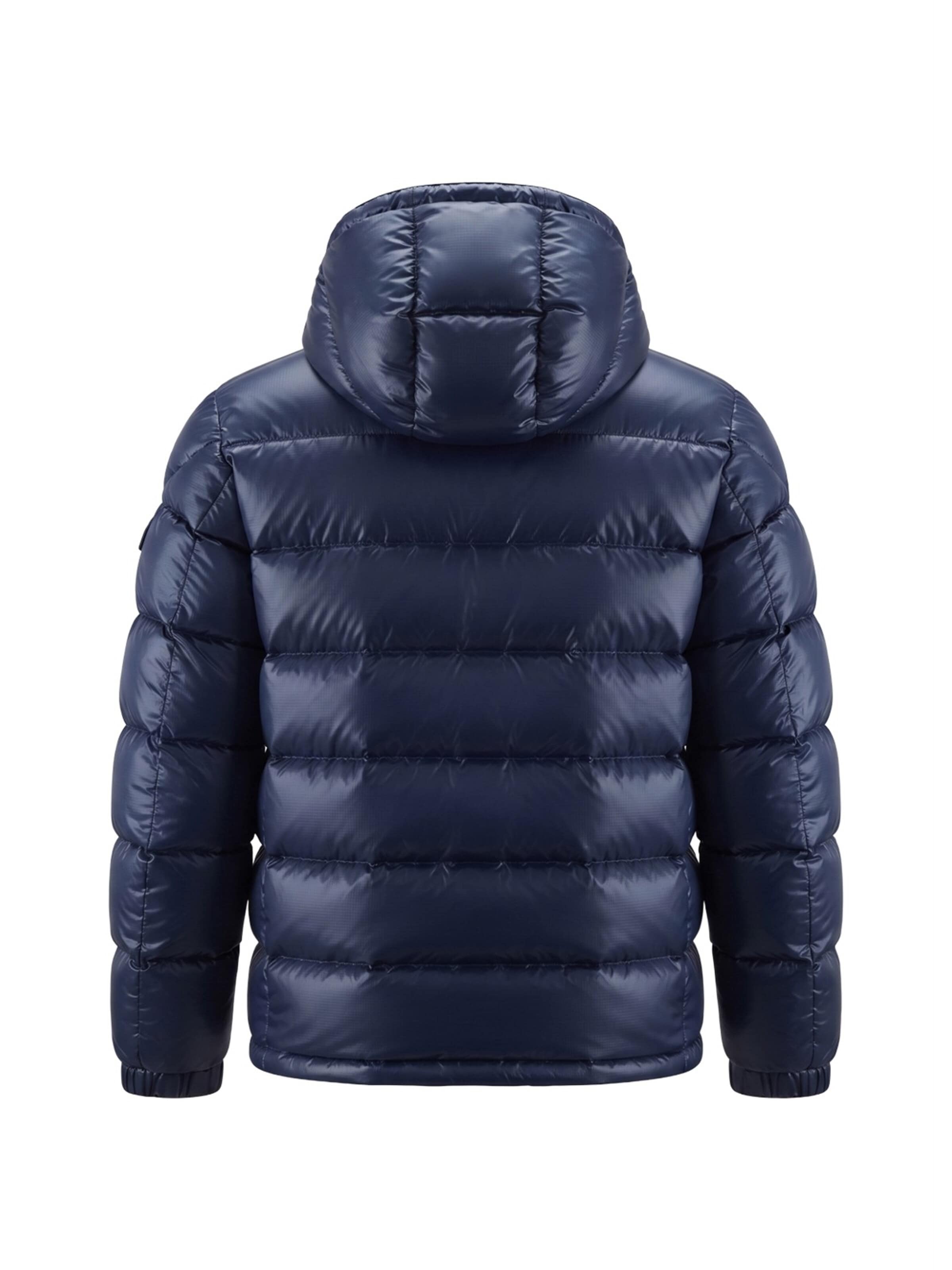 Blauer.USA - Chaqueta de invierno en azul