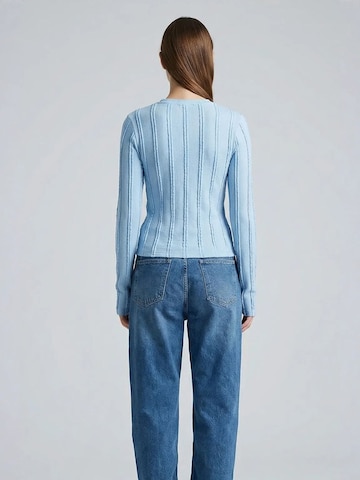 Bigdart Bluse 'Blusen'‌ in Blau