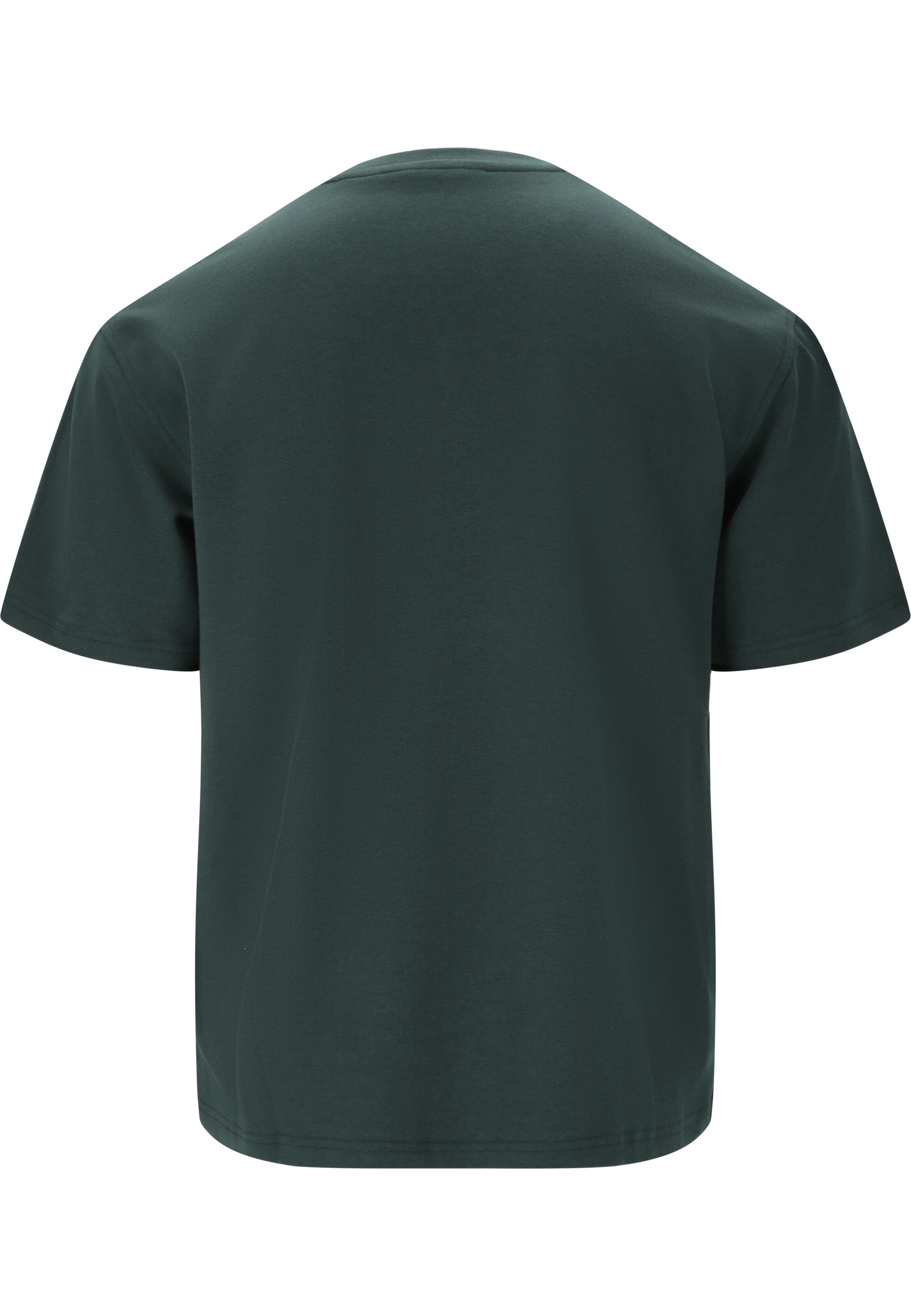 Virtus T-Shirt 'Harwick' in Grün