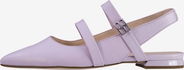 Högl Ballet Flats with Strap 'GINGER' in Purple: front