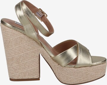 STEVE MADDEN Strap Sandals in Gold