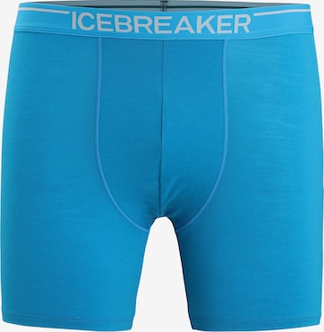 ICEBREAKER Athletic Underwear in Blue: front