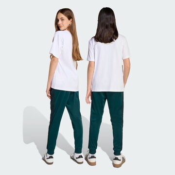 ADIDAS ORIGINALS Tapered Trousers 'Adicolor Sst' in Green