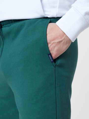 GREENBOMB Regular Pants 'Far' in Green