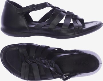 ECCO Sandals & High-Heeled Sandals in 40 in Black: front