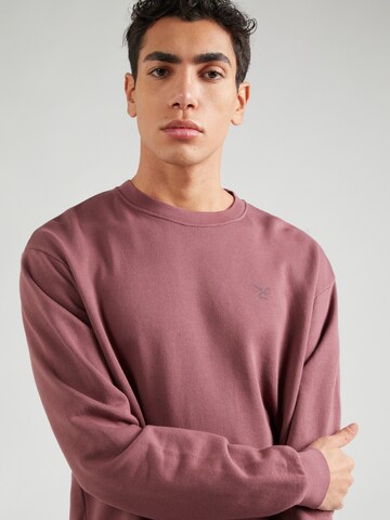 Iriedaily Sweatshirt 'Waterkeeper' i pink