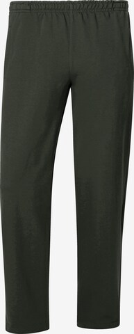 Jan Vanderstorm Pants 'Wenner' in Green: front