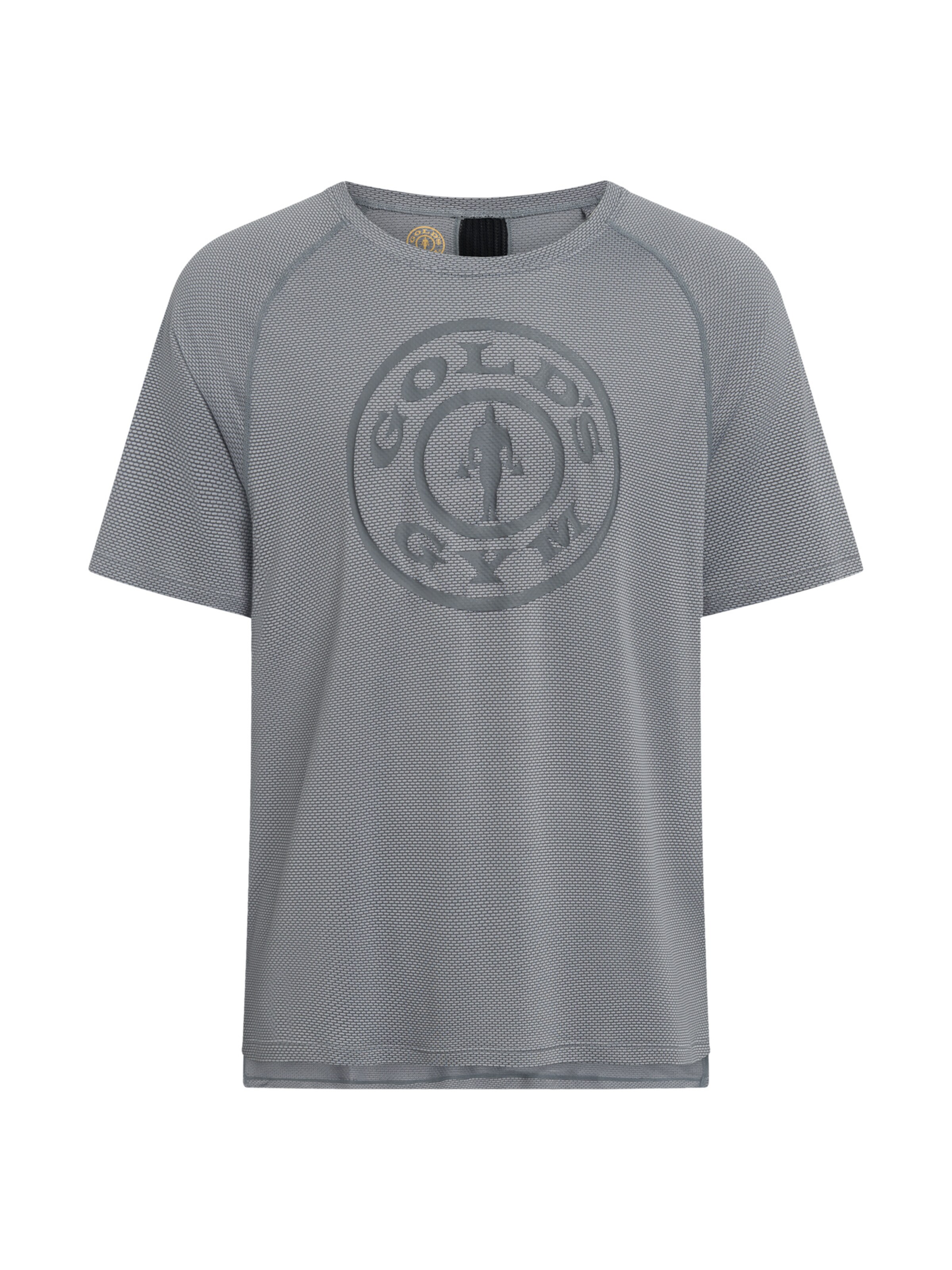 GOLD´S GYM APPAREL Bluser & t-shirts 'KURT' i grå: forside