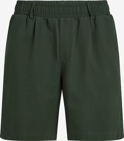 Karl Lagerfeld Housut 'Vacances de Karl' värissä kuusi, Tuotenäkymä