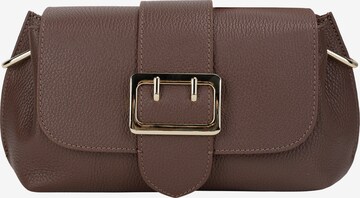 Usha Crossbody Bag in Brown: front