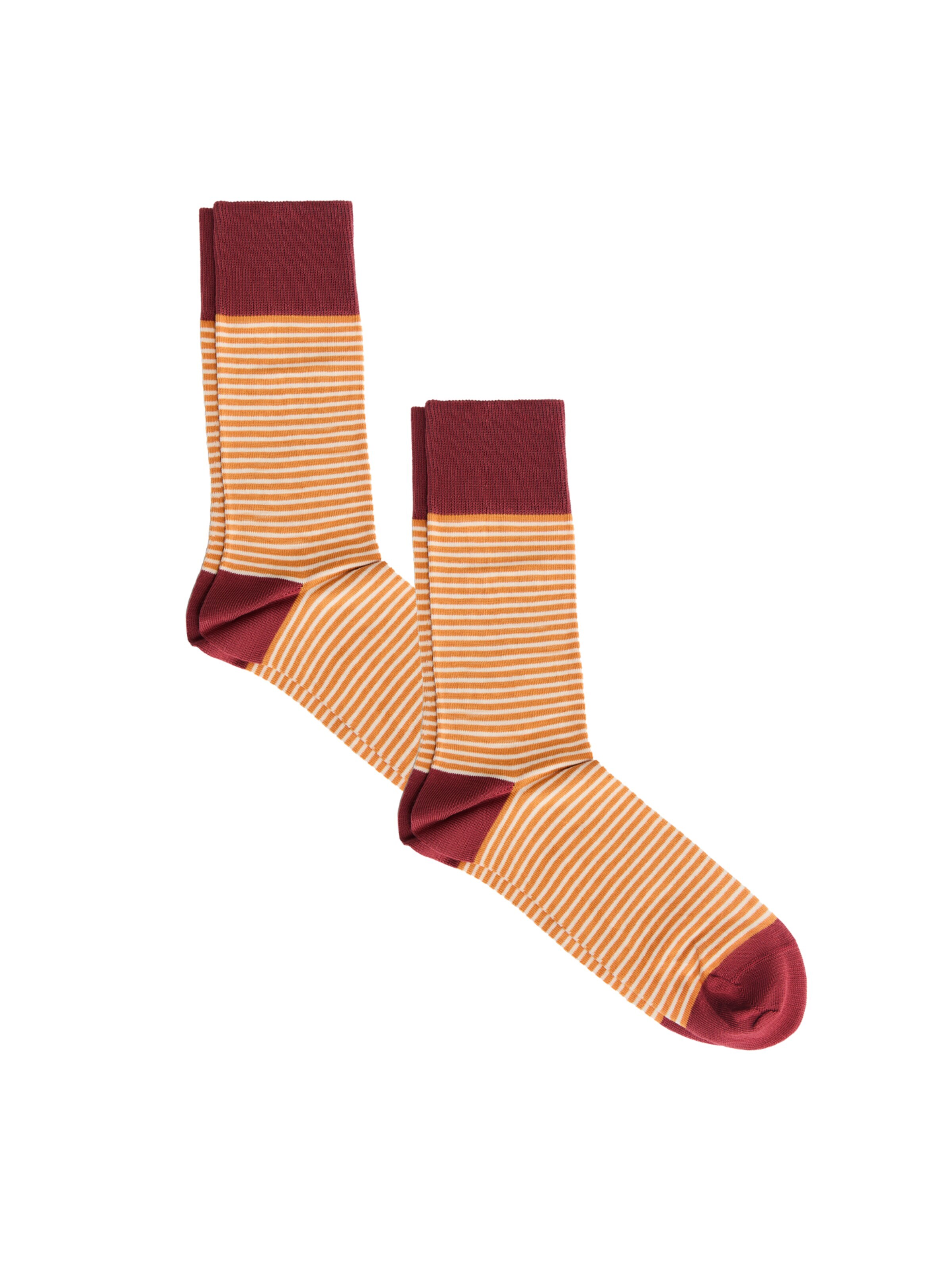 Albero Natur Socks 'Bio-Baumwoll-Socken mit längerem Bündchen - 2er Pack' in Red: front