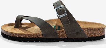 pilka Bayton Šlepetės per pirštą 'DIANE': priekis