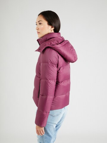 Calvin Klein Jeans Winter Jacket 'Archetype' in Purple