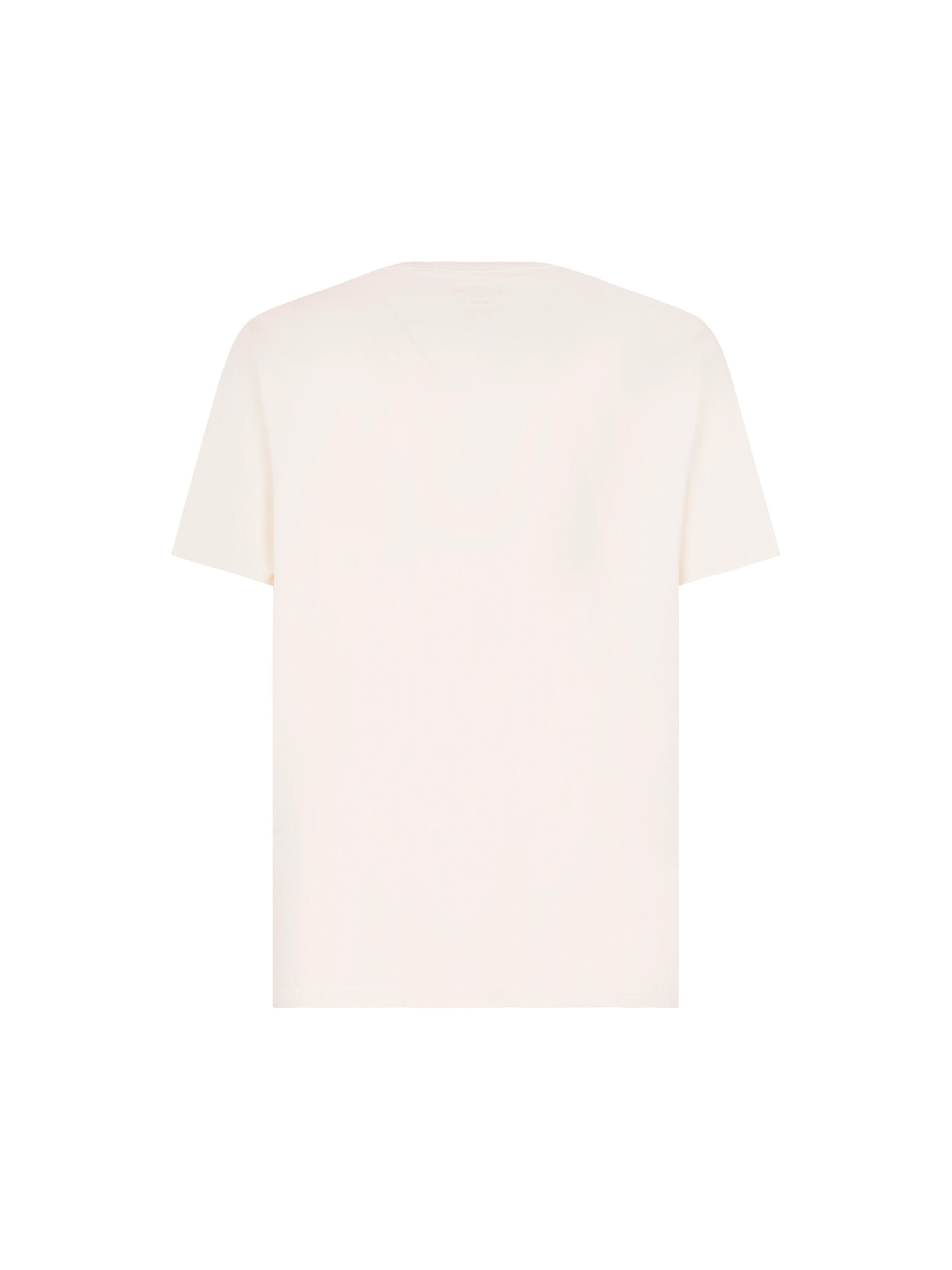 DICKIES Bluser & t-shirts 'Aitkin' i beige