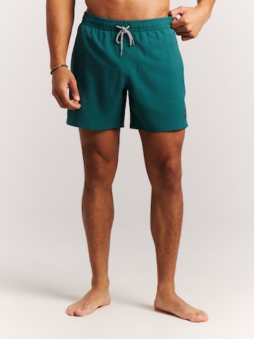 PROTEST Badeshorts 'Davey'‌‌‌‌‌ in Grün