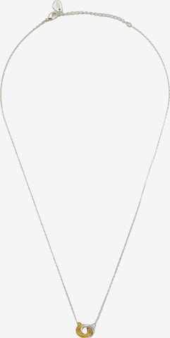 Estella Bartlett Necklace in Silver: front