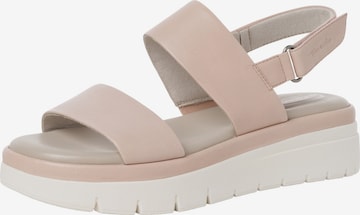 TAMARIS Sandals in Pink: front