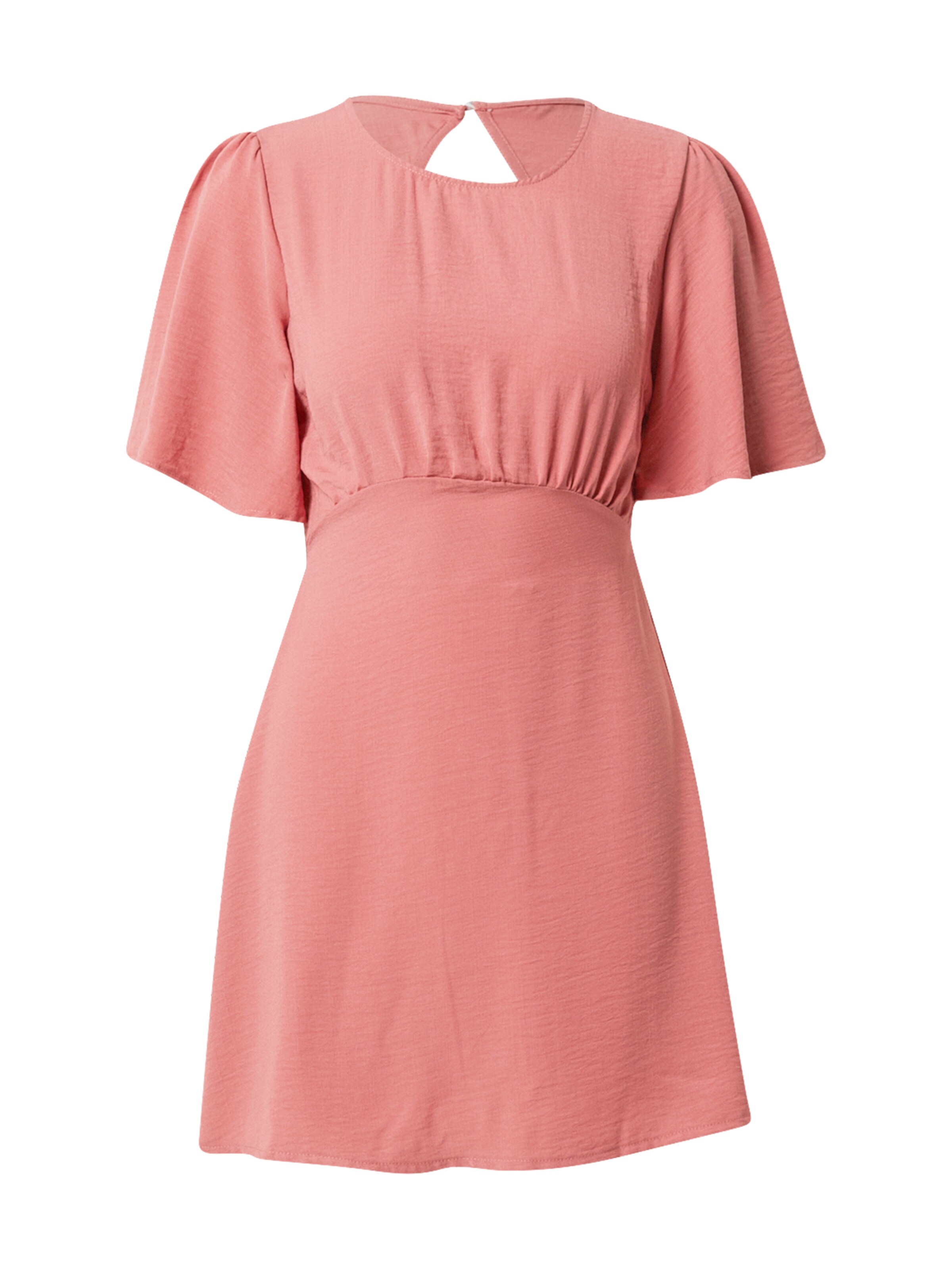 Dorothy Perkins Kleid in Pink: Vorderseite