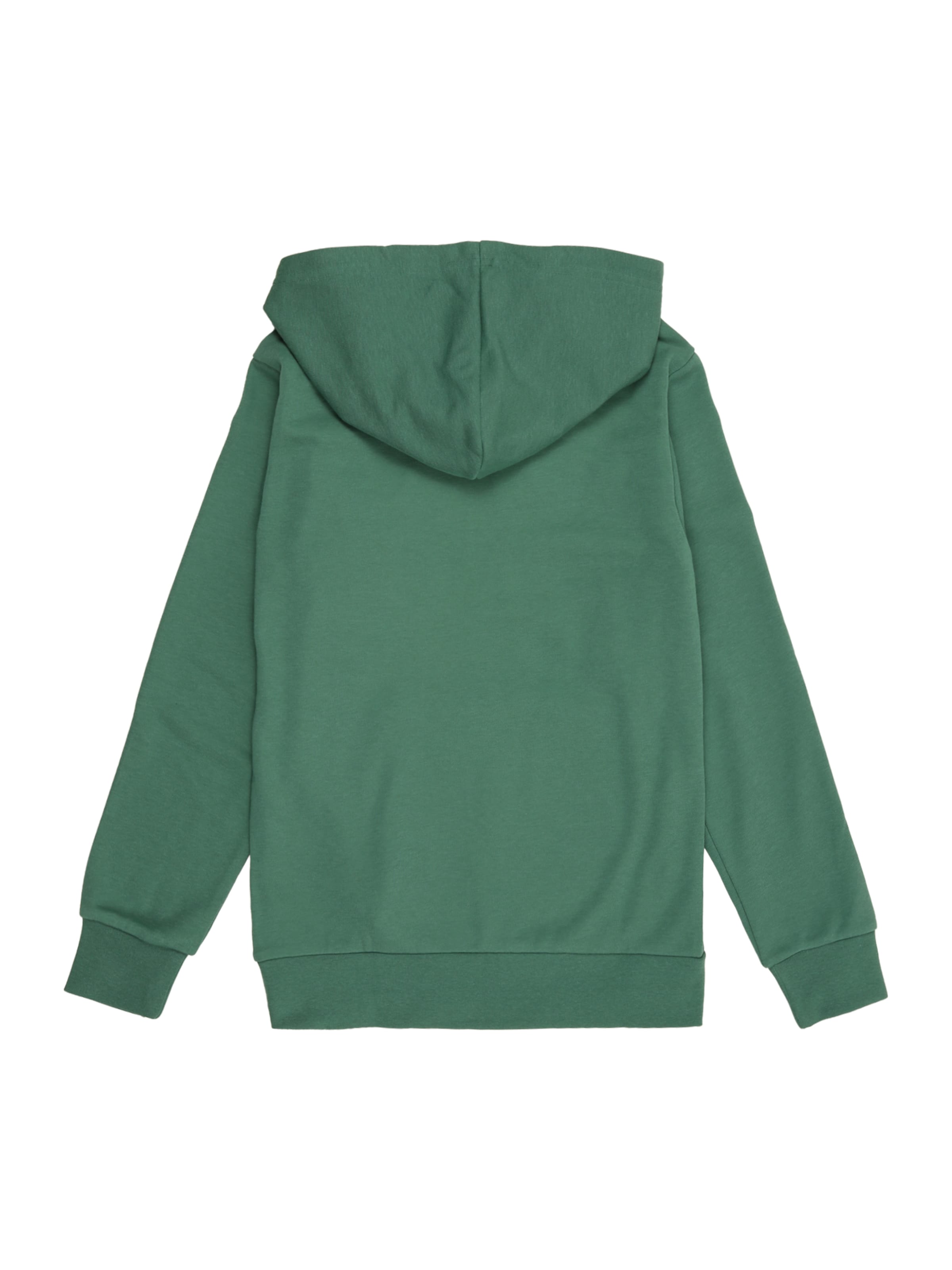 Champion Authentic Athletic Apparel Sweatshirt in Grün