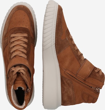 Paul Green High-Top Sneakers in Brown