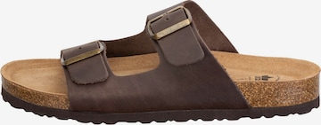 LICO Mules in Brown