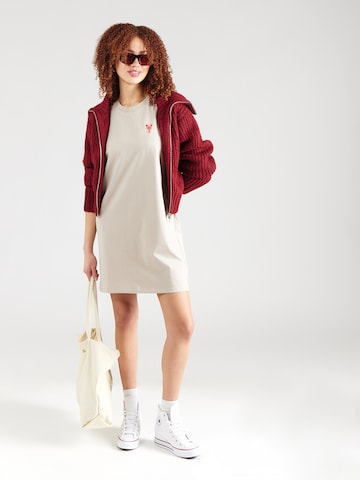 Iriedaily Šaty 'FC Hummer' – béžová