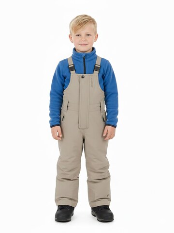 PROTEST Regular Sports trousers 'NEUTRAL TD' in Brown