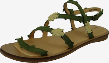 EL NATURALISTA Sandals in Green: front