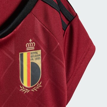 Set 'Belgium 24 Home' ADIDAS PERFORMANCE en rouge
