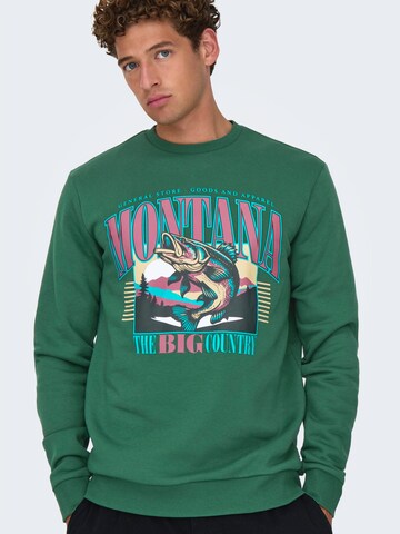 Only & Sons Collegepaita 'ONSCERES MONTO' värissä vihreä