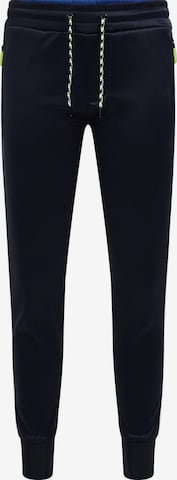 WE Fashion Pants in Blue: front