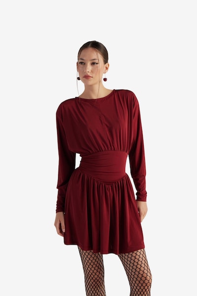 HOLLY LOLLY Robe en 36 en bourgogne, Vue avec produit