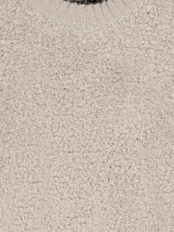 Sublevel Sweater in Beige