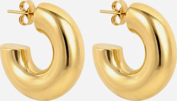 Fräulein Wunder - Pendientes 'Alex' en oro: frente
